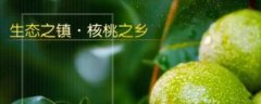 楚雄市綠*源農業(yè)發(fā)展有限公司網(wǎng)站建設有創(chuàng  )意的主題設計
