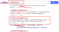 沈陽(yáng)鴻*再生資源回收有限公司網(wǎng)站建設H5案例作品
