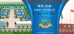 陜西安康市*弟農工貿有限公司網(wǎng)站建設平面設計案例作品