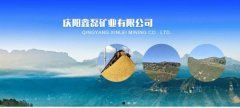 慶陽(yáng)鑫*礦業(yè)有限公司網(wǎng)站建設平面設計案例作品