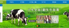 永城市匯*生物科技有限公司網(wǎng)站建設有創(chuàng  )意的主題設計