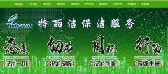 樂(lè )陵市特*潔保潔服務(wù)有限公司網(wǎng)頁(yè)制作可視化建站作品欣賞
