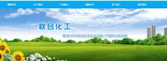 山東昌樂(lè )縣*合化工有限公司網(wǎng)站設計展示型案例作品