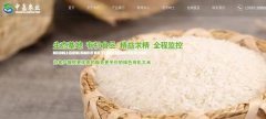 豐城市中*農業(yè)發(fā)展有限公司網(wǎng)站建設新一代自助建站、智能建站系統
