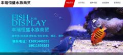 北京豐*恒盛水族商貿有限公司設計網(wǎng)站展示型案例作品