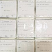 企業(yè)網(wǎng)站設計：個(gè)性化與整體性的完美融合