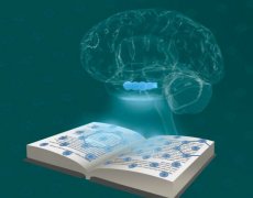 掌握網(wǎng)站SEO優(yōu)化更新，解鎖流量密碼