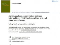企業(yè)網(wǎng)站設計，圖片格式全揭秘